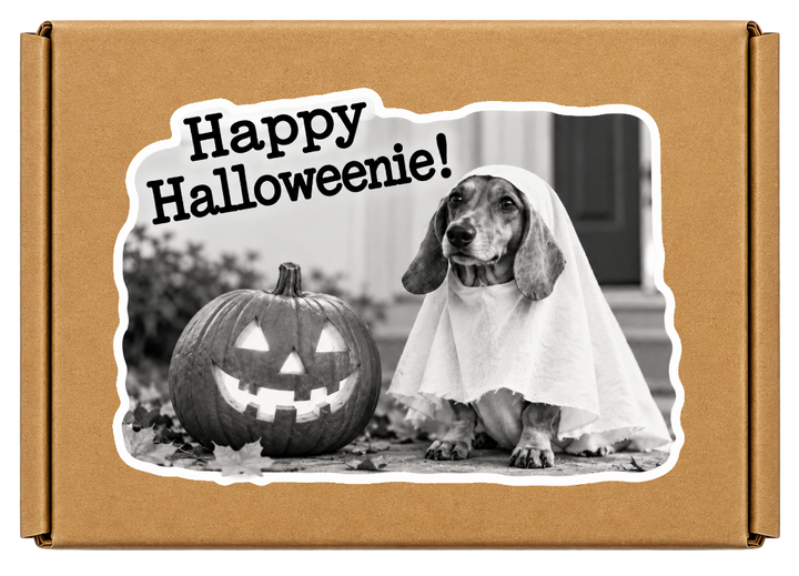 Happy Halloweenie!